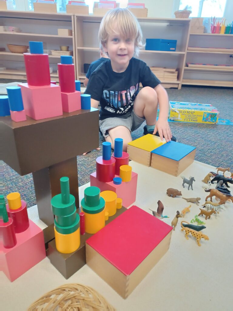 The Science Behind Montessori: How They Enhance Learning